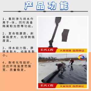 各類(lèi)規(guī)格蓄水池防滲膜 支持定制 歡迎電話咨詢